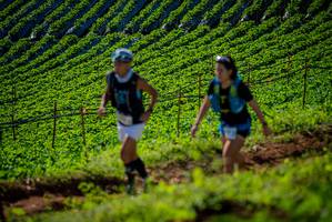 BIB: 
                            <button type="button" onclick="openModal(19160934)" class="btn btn-primary btn-sm float-right btn-popup" data-toggle="modal" data-target=".modal-high-quality">
                        <i class="fas fa-shopping-cart"></i> Add to Cart
                    </button>
                                            <button type="button" onclick="isThisMe(19160934, true)" class="btn btn-success btn-sm float-right btn-popup btn-isme hidden" data-toggle="tooltip" data-placement="bottom" title="นี่คือรูปของคุณใช่ไหม คลิกที่นี่เพื่อเอาเข้าอัลบั้ม">
                        <i class="fas fa-plus"></i> Add to album
                    </button>
                    <button type="button" onclick="isThisMe(19160934, false)" class="btn btn-warning btn-sm float-right btn-popup btn-isnotme hidden">
                        <i class="fas fa-ban"></i> Remove from album
                    </button>